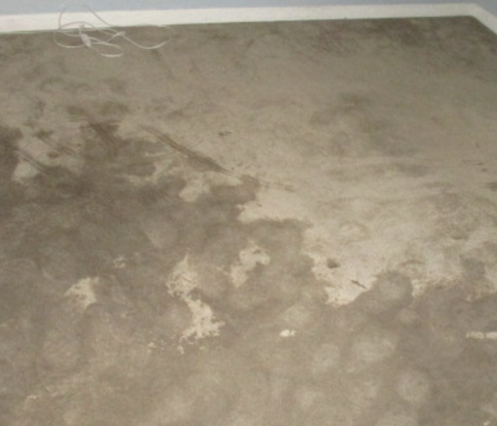 Carpet has significant water damage from a pipe break.