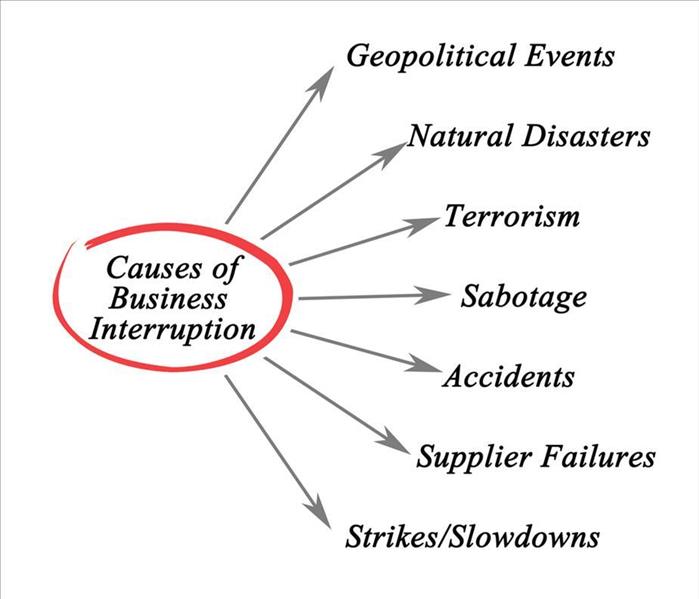 Causes of business interruption