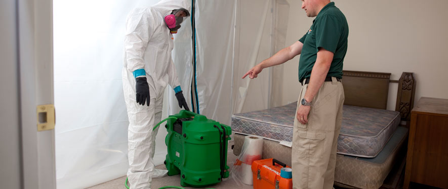 Scottsdale, AZ mold removal process